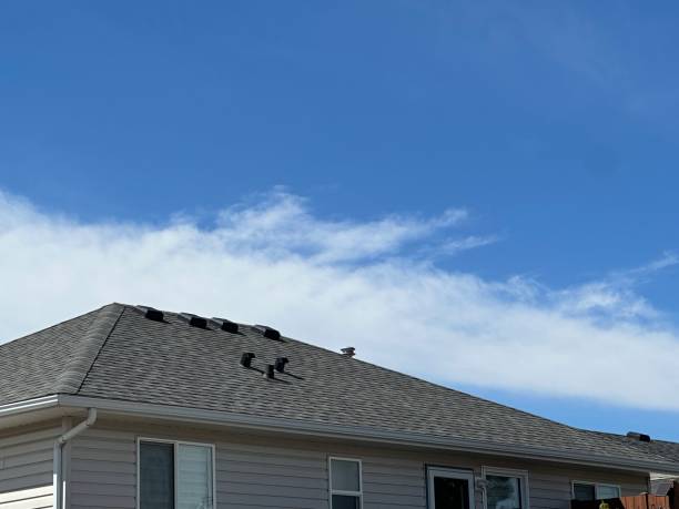 Best Green or Eco-Friendly Roofing Solutions  in Combine, TX